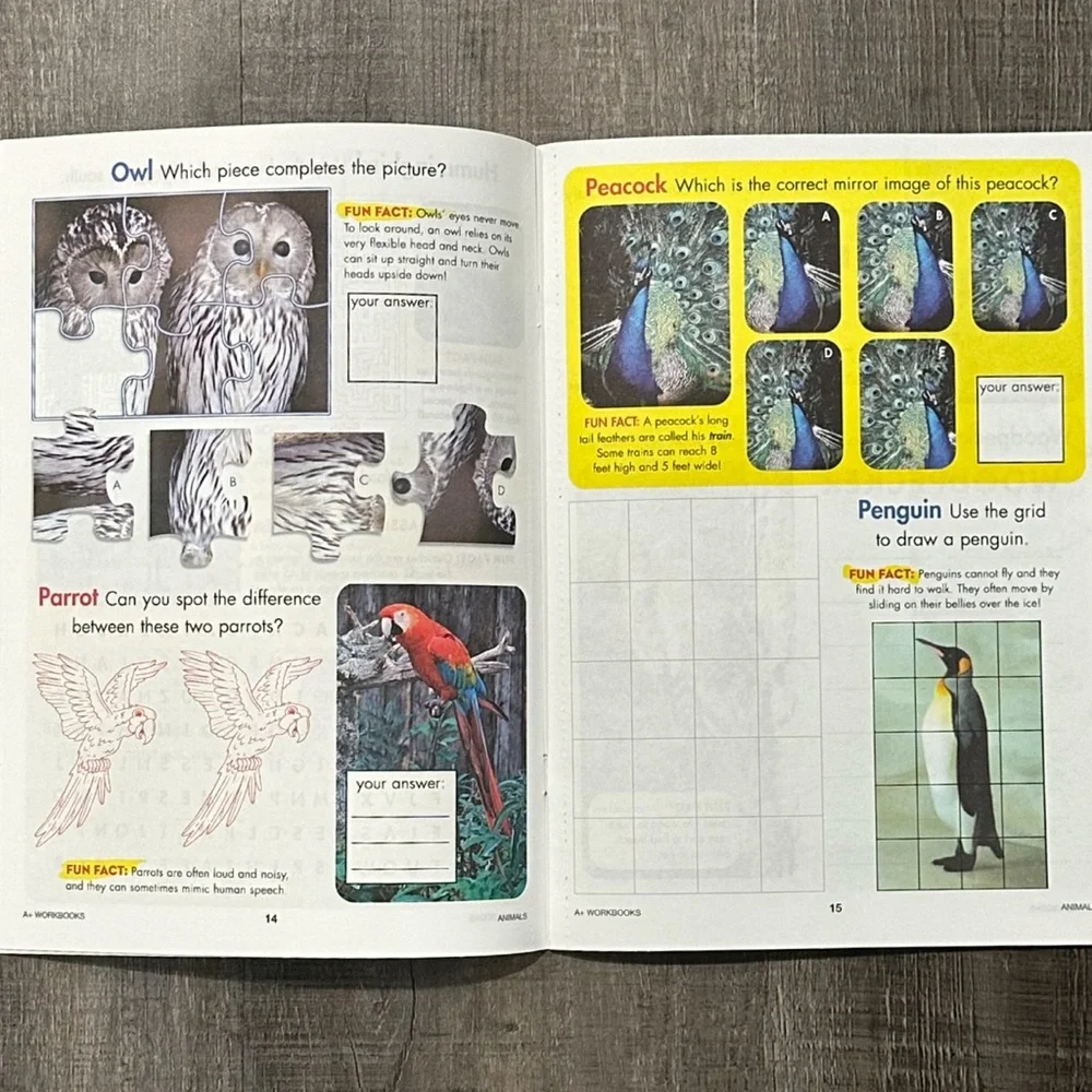 💞 New 2nd & 3rd Grade Animals Educational Science Workbook